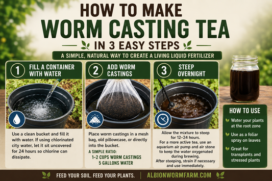 Worm Casting Tea: Turn Nature’s Best Soil Amendment Into a Living Liquid Fertilizer