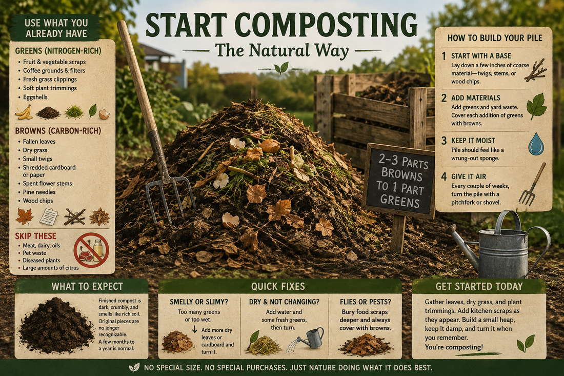 How to Compost at Home: Beginner's Guide (Part 2)