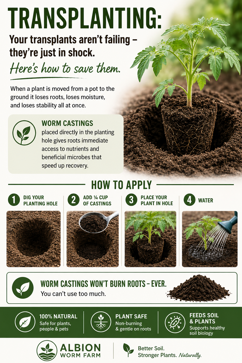 Transplant Shock: Why Your Plants Struggle After Planting — and How Worm Castings Help