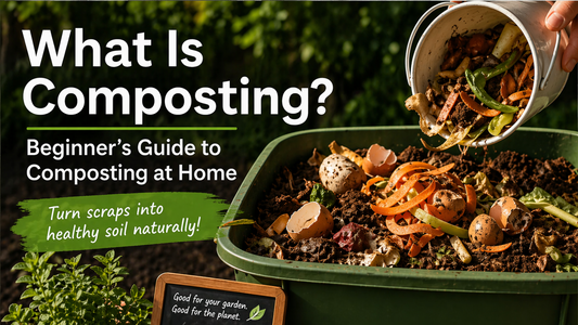What Is Composting? Beginner’s Guide to Composting at Home