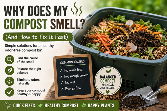 Why Does My Compost Smell? (And How to Fix It Fast)