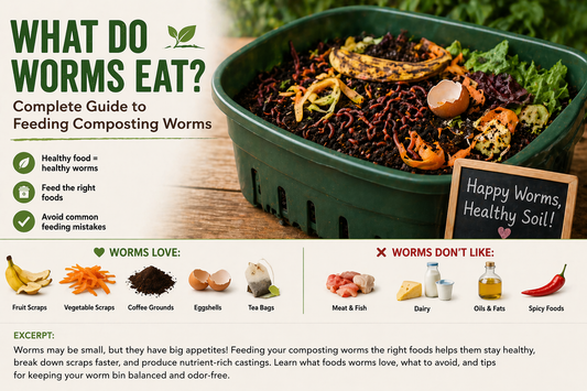 What Do Worms Eat? (Complete Guide to Feeding Composting Worms)